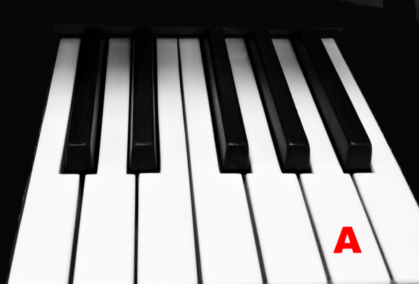Piano Keytop Glossy White 2" Long Head - Individual Replacement Key