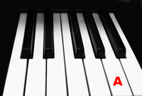 Piano Keytop Glossy White 2" Long Head - Individual Replacement Key