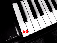Piano Keytop Glossy White 2" Long Head - Individual Replacement Key