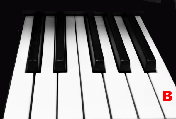 Piano Keytop Glossy White 2" Long Head - Individual Replacement Key