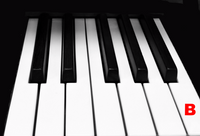 Piano Keytop Glossy White 1-15/16" Short Head - Individual Replacement Key