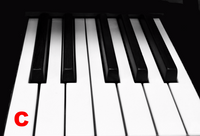 Piano Keytop Glossy White 2" Long Head - Individual Replacement Key
