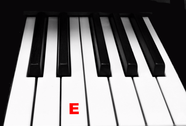 Piano Keytop Glossy White 2" Long Head - Individual Replacement Key