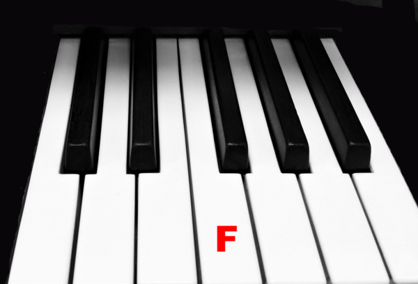 Piano Keytop Glossy White 2" Long Head - Individual Replacement Key