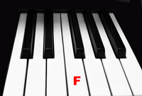Piano Keytop Glossy White 2" Long Head - Individual Replacement Key