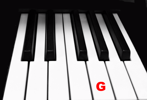 Piano Keytop Glossy White 2" Long Head - Individual Replacement Key