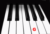 Piano Keytop Glossy White 2" Long Head - Individual Replacement Key
