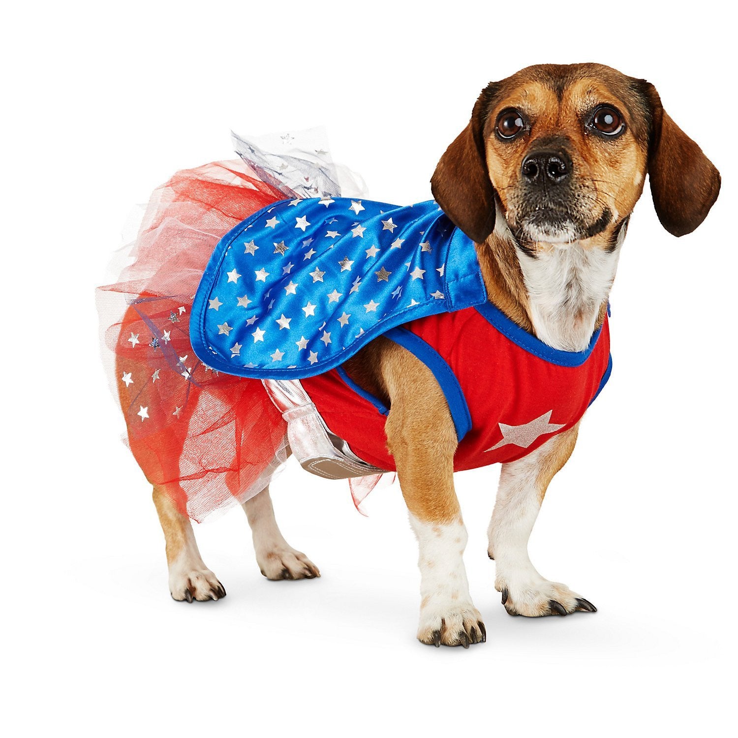 Halloween Bootique Superhero Girl Dog Costume, Large