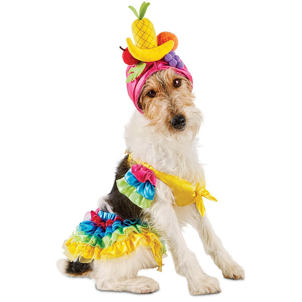 Bootique Carnival Pet Costume, Dog or Cat Costume, Small Tropical Girl