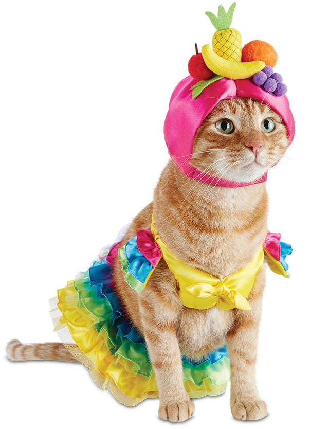 Bootique Carnival Pet Costume, Dog or Cat Costume, Small Tropical Girl